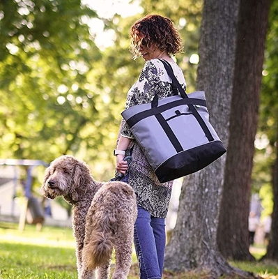 La suavidad la termal de Gray Insulated Cooler Bag HD echó a un lado refrigerador aislado