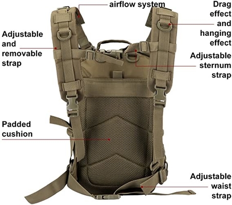 Insecto táctico militar de la mochila 30l de LHiking de la mochila del ODM fuera del bolso